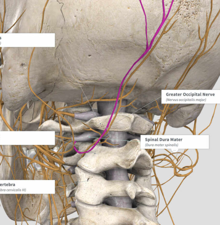 cervical decompression and nerve decompression