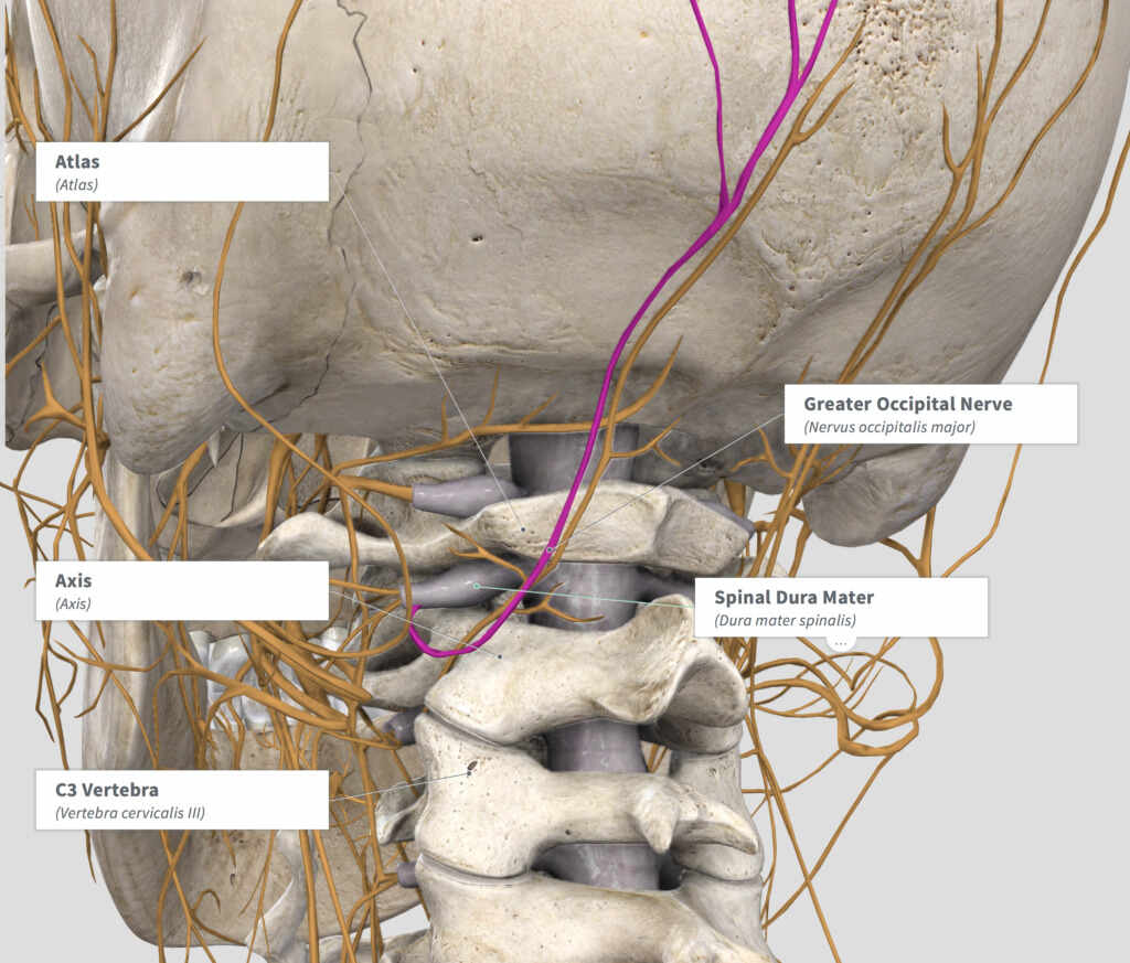 cervical decompression and nerve decompression